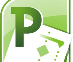 Upgrading to Project 2010