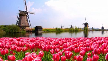 Learn Frisian Online – Level 1 Learn Frisian Online – Level 1