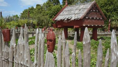 Learn Maori Online – Level 2