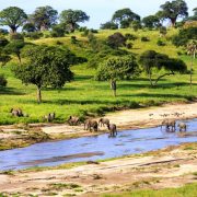 Swahili-featured-image