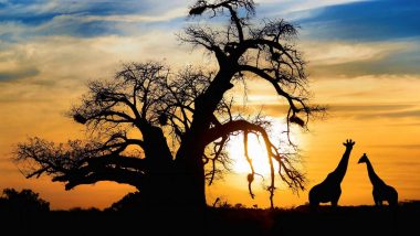 Learn Zulu Online – Level 1